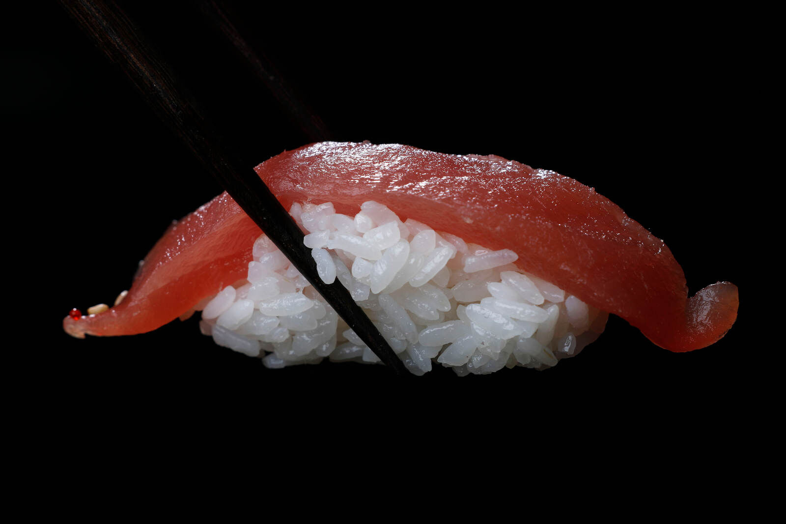 Tuna nigiri